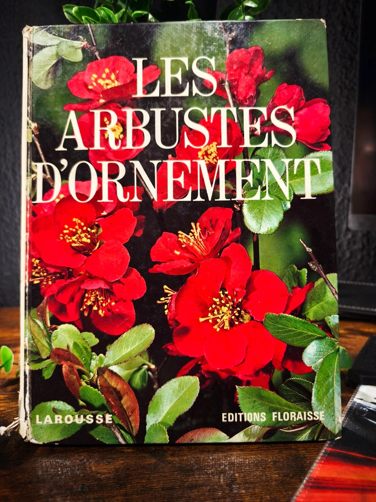 Les arbustes d'ornement